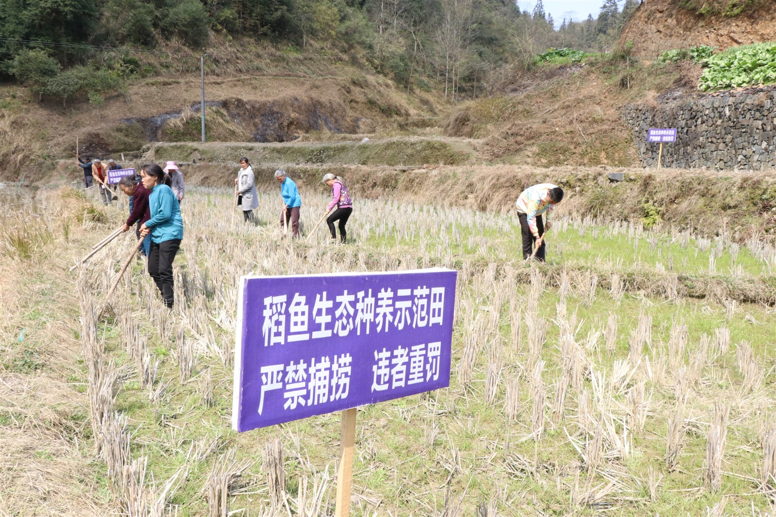IMG_2063_副本.jpg