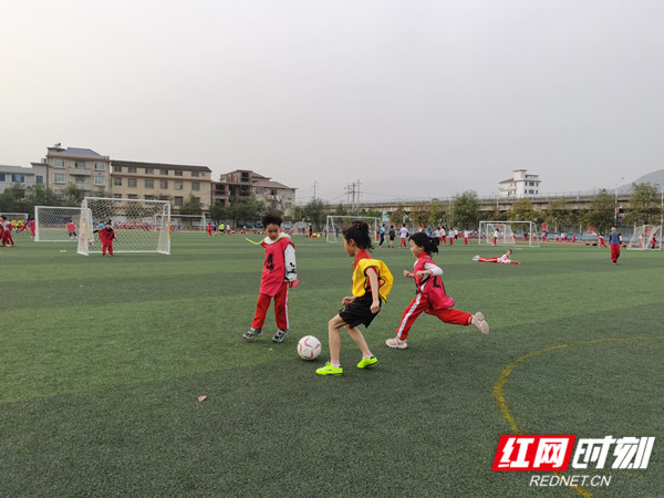 微信图片_20220315094649_副本2.jpg