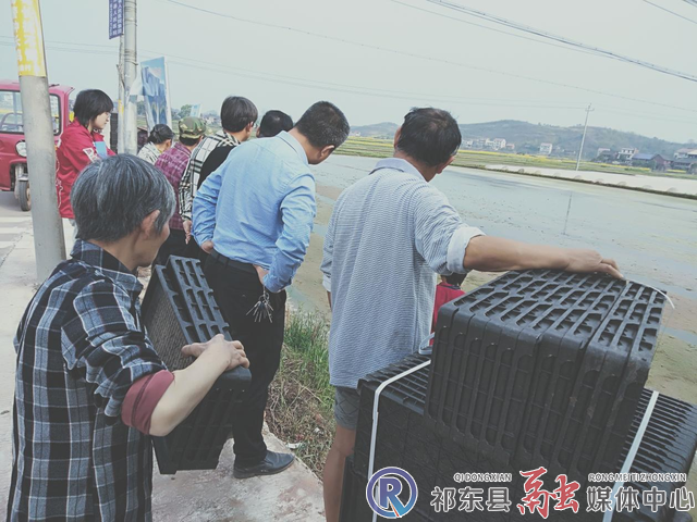 w_图片3.jpg.png