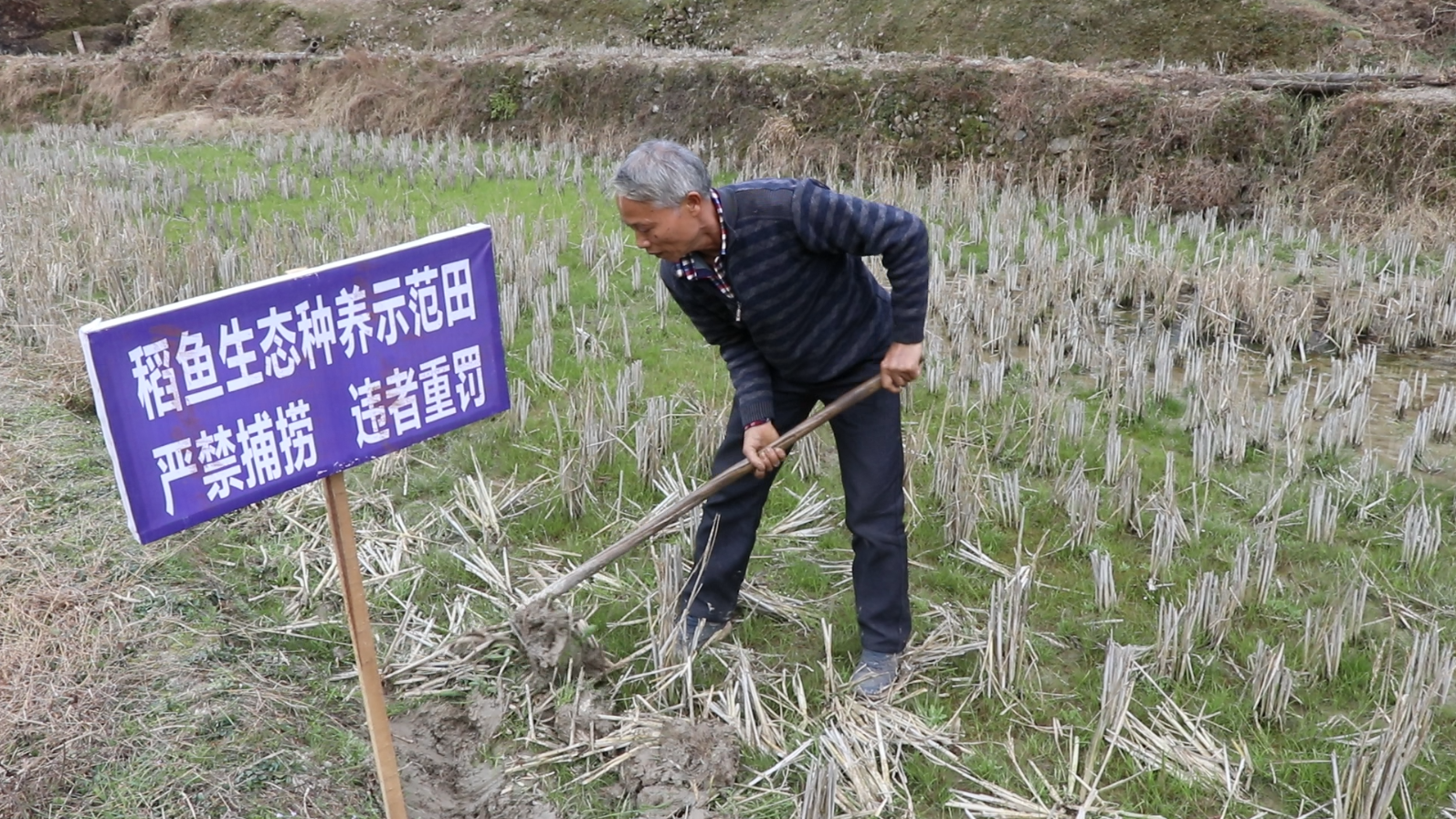 微信截图_20220314163124.png