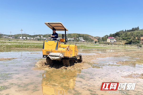 种粮大户谢立新开着旋耕机在耕地。.jpg