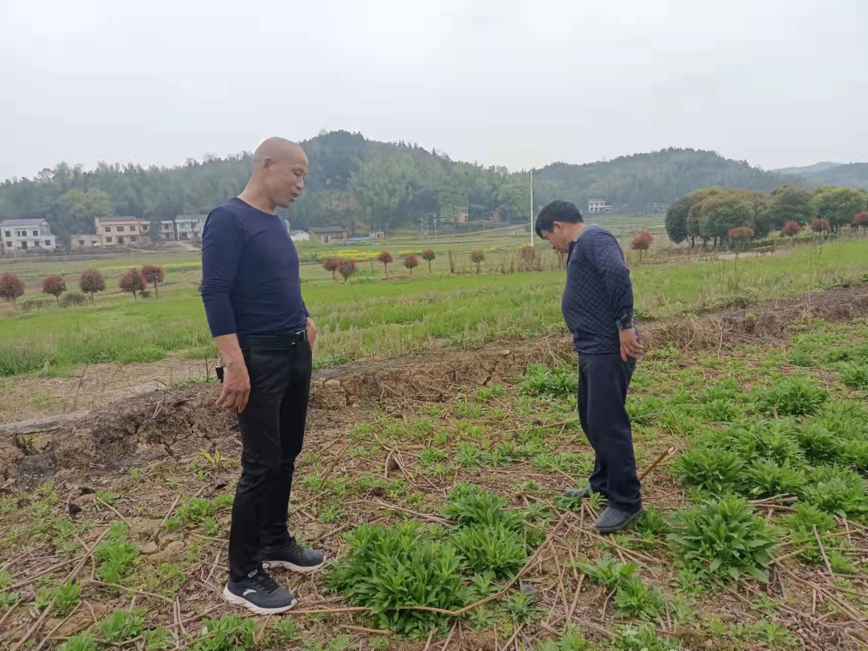 生产不停歇 台风肆虐 海上油田坚守阵地