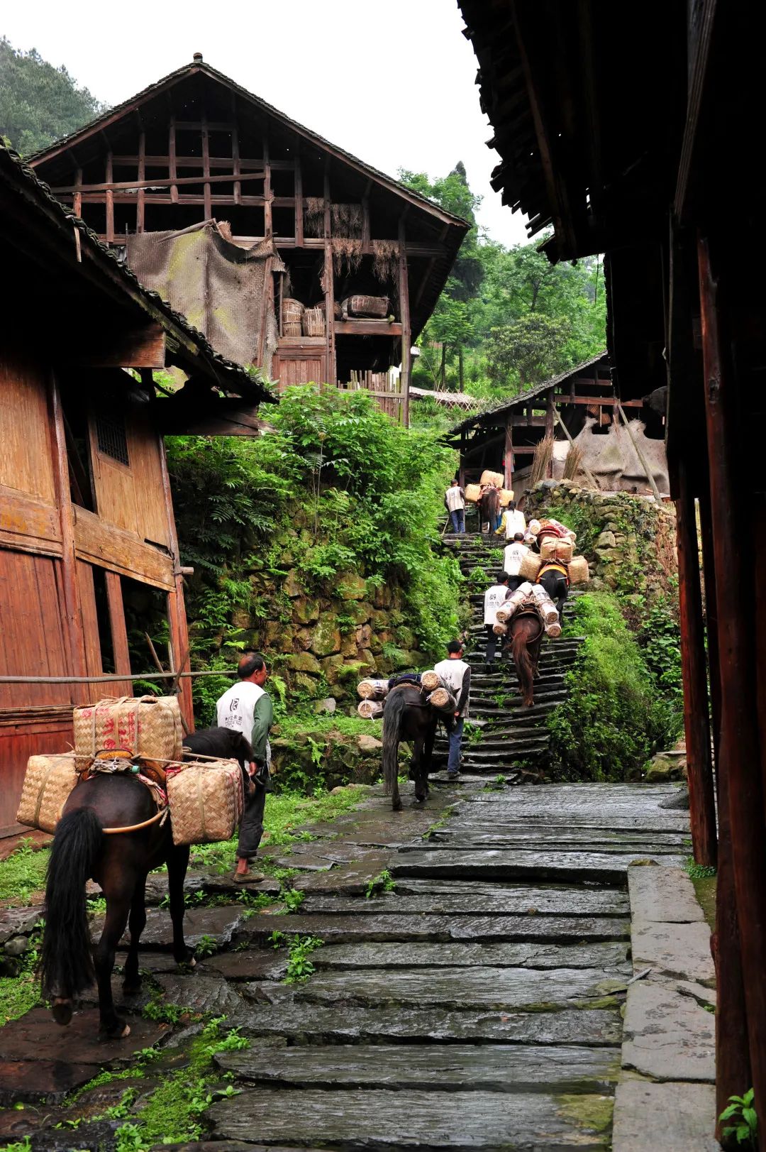 2020茶马古道风景区-旅游攻略-门票-地址-问答-游记点评，安化旅游旅游景点推荐-去哪儿攻略