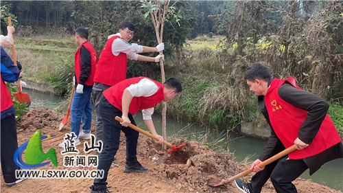 毛俊镇开展学雷锋月“添新绿 育新苗”活动.jpg