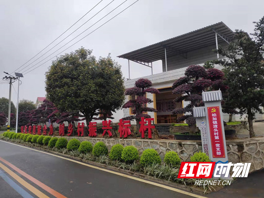 cd15621a01ba01348e50bc234eb8082_副本.jpg