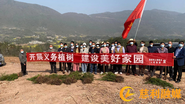 三八植树慈利.jpg