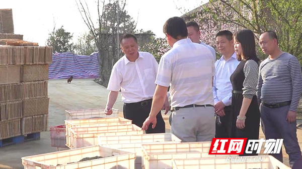 图片15.jpg