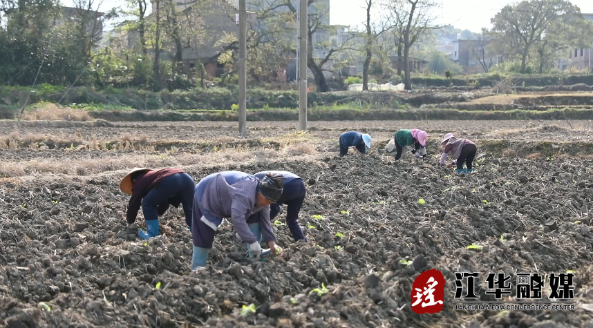 微信截图_20220318094120.png