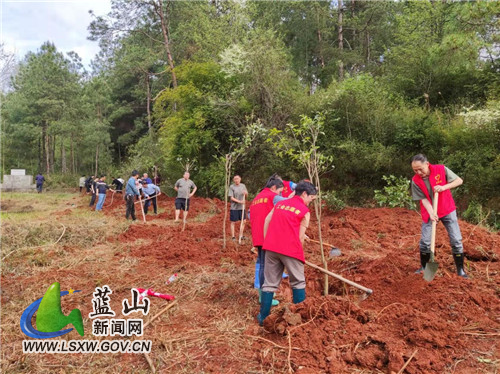 楠市：“种下绿色希望，传承红色精神”  2022年植树活动.jpg