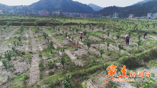 宁远：人勤不负好时光  瑶乡处处春种忙2_副本500.jpg