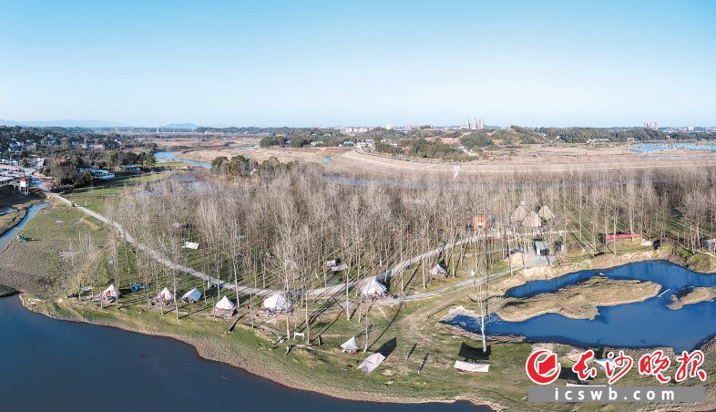 清澈的白沙河三面环绕,昔日荒滩黄花洲成为诗意的“然后森林”。 长沙晚报全媒体记者 陈飞 摄