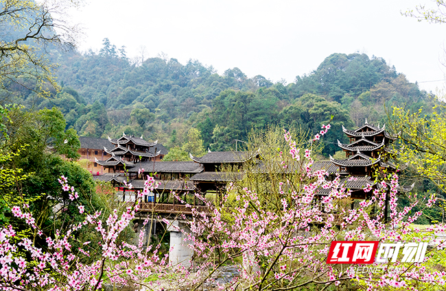 7借母溪村依托生态资源，大力发展乡村旅游（刘科摄影）.jpg