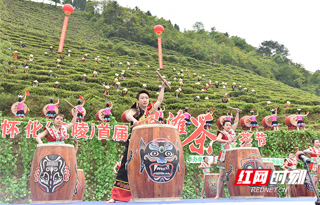 16沅陵碣滩茶文化旅游节（瞿云 摄）.jpg