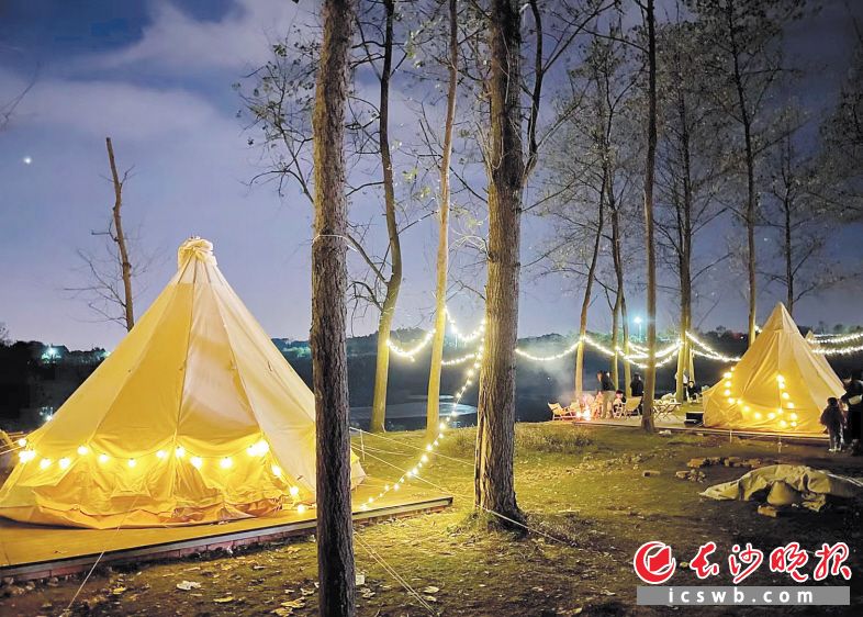 “森林集市”入夜,仿佛童话里的世界。长沙晚报全媒体记者 李卓 摄