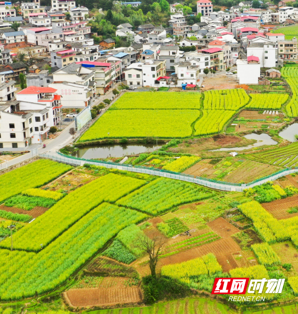 DJI_070301.jpg