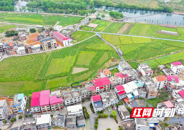 DJI_075801.jpg