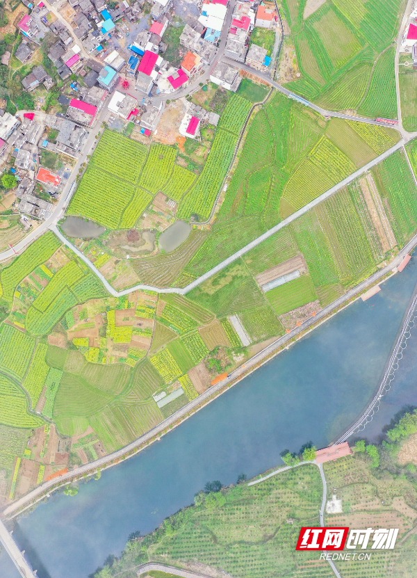 DJI_077501.jpg