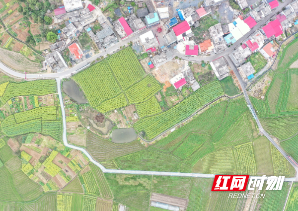 DJI_077701.jpg