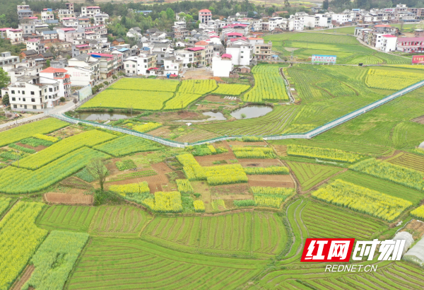 DJI_078401.jpg