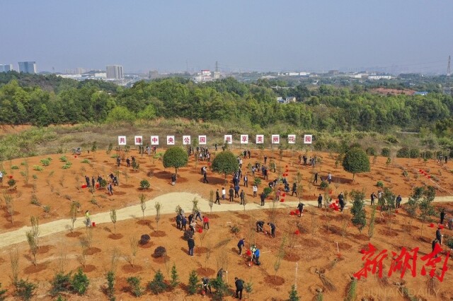 張慶偉參加長沙義務植樹活動：堅持不懈推進造林綠化事業 加快建設生態強省美麗湖南