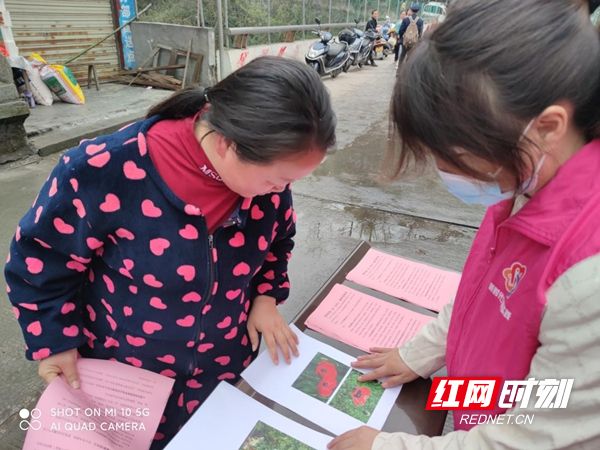 图片11.jpg