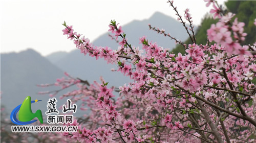 微信图片_20220321171013.jpg 微信图片_20220321171013.jpg