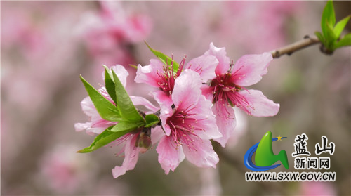 微信图片_20220321171110.jpg 微信图片_20220321171110.jpg