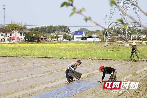 天气晴好，长沙县北山镇抢抓时令，有条不紊地开展春耕春播，广阔的田野里随处可见忙碌的场景。（图为北山镇蒿塘社区长山坳组）陆瑶摄。副本.jpg