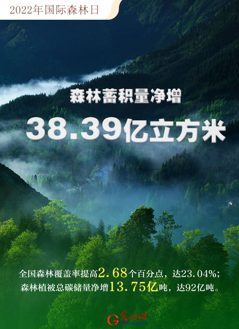 【海报】2022国际森林日：数读全球增绿的中国贡献