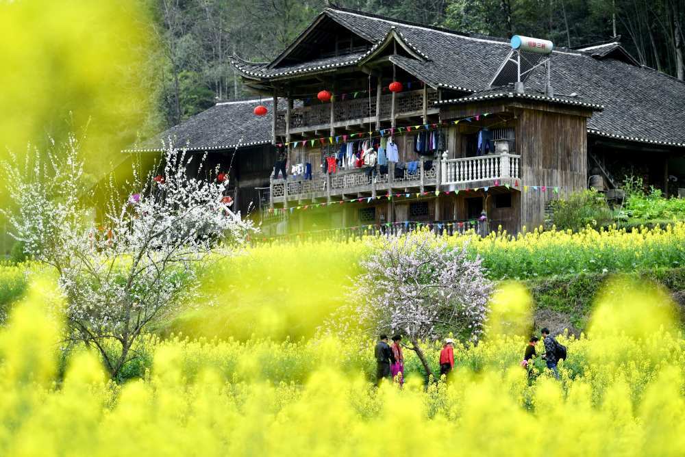 新华全媒+丨摘取第一口春天的味道