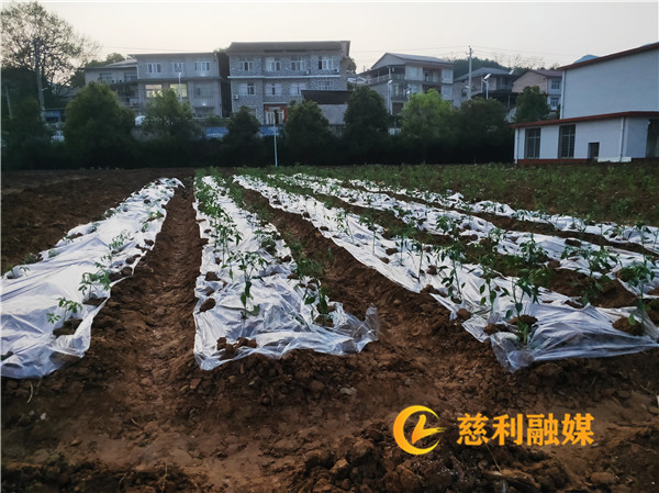 5b6a6007dd5259f3da00c619f0d945b_副本_副本.jpg