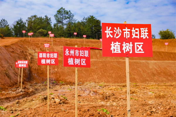 8ca2ff866efb54c2571b5ffd72937c2.jpg 8ca2ff866efb54c2571b5ffd72937c2.jpg