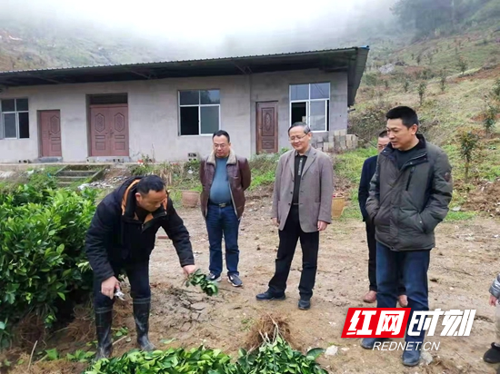 微信图片_20220324204231.jpg
