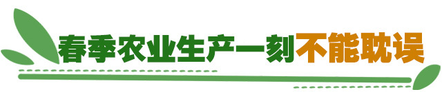 疫情防控春耕生产“两不误”