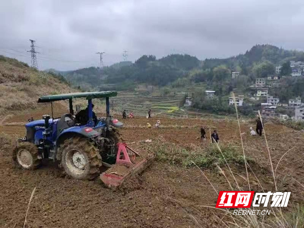 图片11.jpg