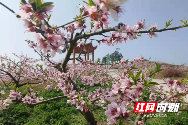 微信图片_20220325101259.jpg 微信图片_20220325101259.jpg