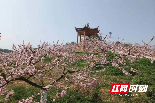 微信图片_20220325101305.jpg 微信图片_20220325101305.jpg