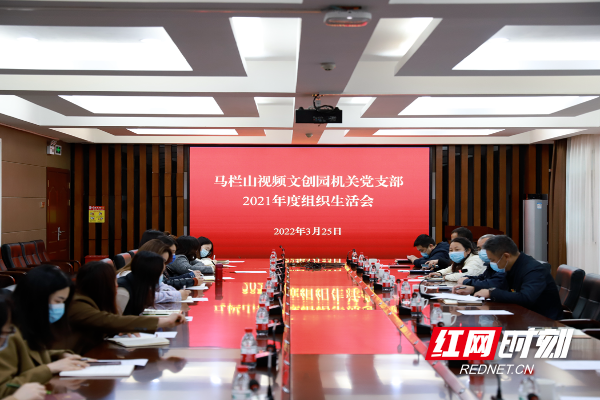 马栏山视频文创园机关党支部召开2021年度组织生活会