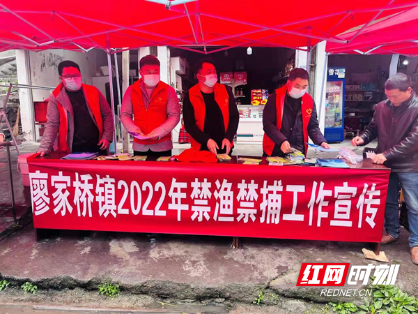 图片12.png