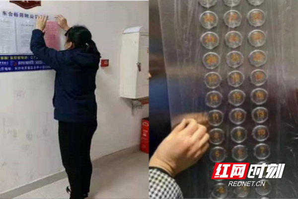 图片168.png 图片168.png