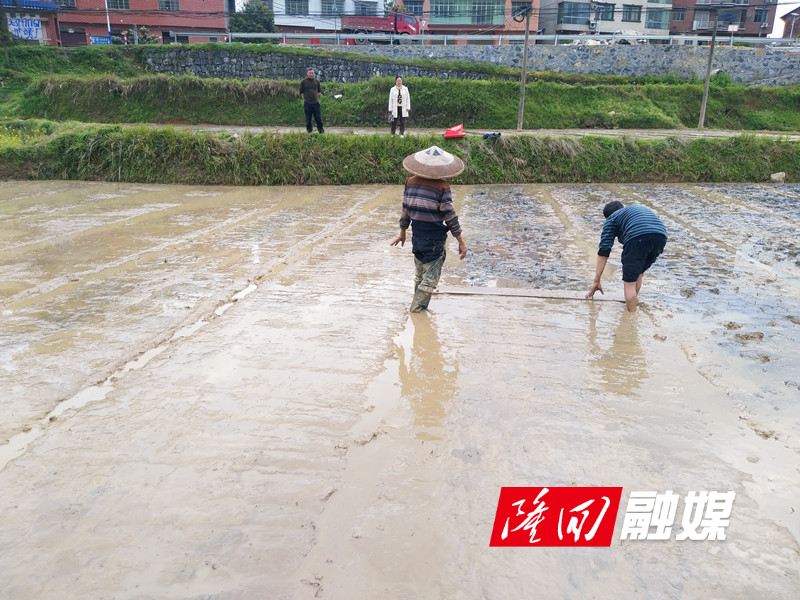 微信图片_20220326080727.jpg 微信图片_20220326080727.jpg