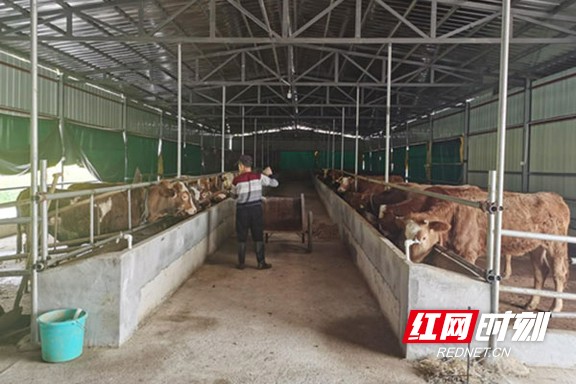 未标题-1-恢复的-恢复的-恢复的-恢复的.marked.jpg