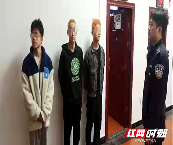 图片1.png
