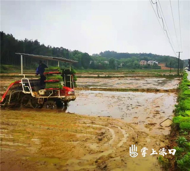 WPS图片(6).jpg