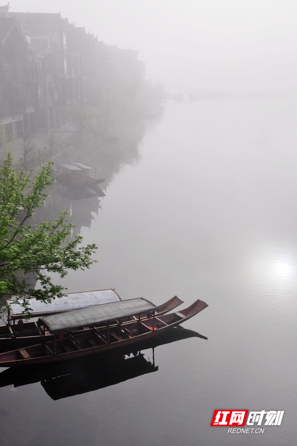 DSC_1582.jpg