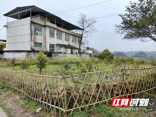 竹篱笆围出人居环境新气象。.jpg