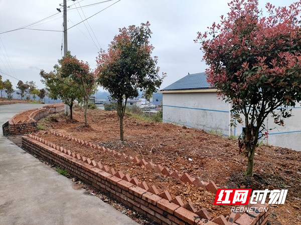美丽的花坛。.jpg