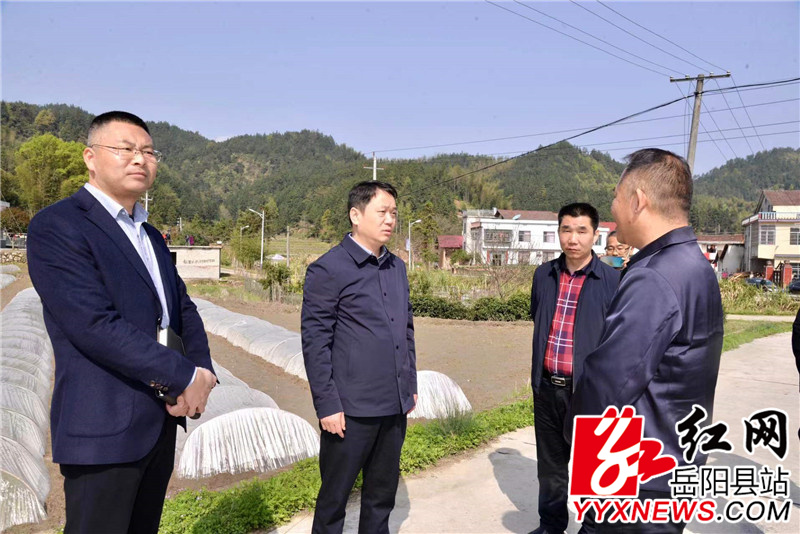 吴光文实地查看月田镇茨洞村早稻育秧情况.jpg