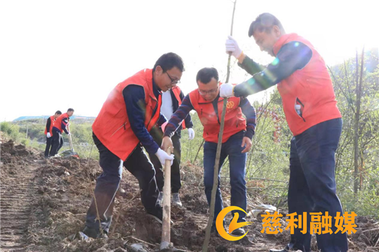 图片2_副本.png