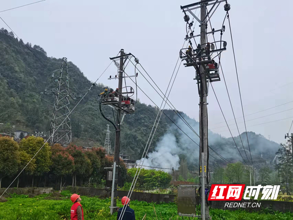 供电员工抓住春检有利时机对10千伏供电线路开展安全隐患排查.jpg